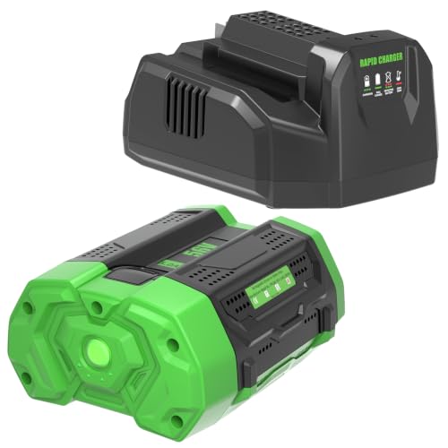 Image of 1Pack 56V Battery 5Ah and a Charger CH2100 Replacement for EGO 56V | BA2800T 56V Lithium ion Battery and CH2100 Charger Compatible with EGO Battery 56Volt Cordless Tools