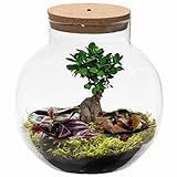 HANDGEFERTIGES RECYCELTES GLAS - Das Glas ist haltbar, recycelt und handgefertigt. Daher ist jedes Glas ein Unikat und kann gewisse Unregelmäßigkeiten/Effekte im Glas aufweisen.