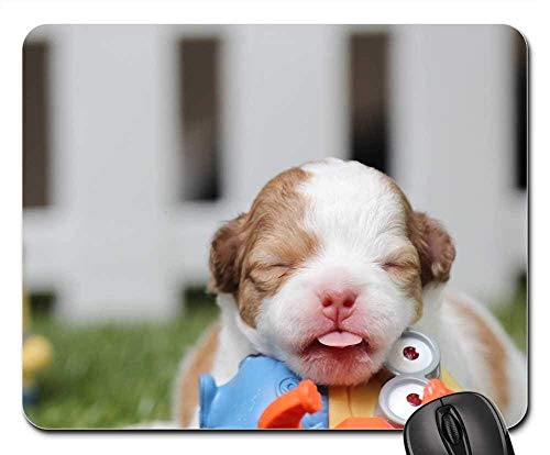 Preisvergleich Produktbild Mauspads - Chihuahua-Hundewelpen-Nette Haustier-Zucht