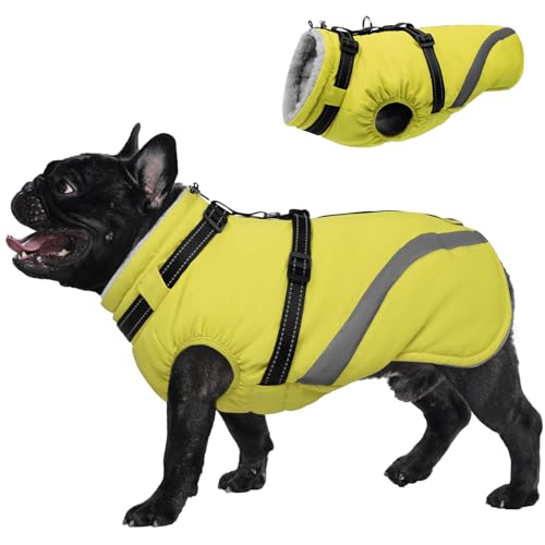 Lelepet  phR[g ~ ybg hWPbg g ߉\ H~  ˃Xgbv ȕR[g Ȃ h h  _EWPbg @ ^Kp (O[, M)