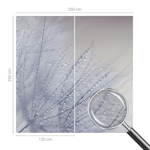 Papier peint pissenlit 250x250 pour masquer les murs ternes - 5