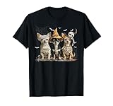 Photo Gallery carino chihuahua cane vestito fantasma divertente halloween maglietta Photo Gallery carino chihuahua cane vestito fantasma divertente halloween maglietta