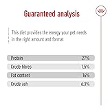 Royal Canin Mini Adult 8+ | 800 g | Alleinfuttermittel für ältere Hunde kleiner Rassen | Ab dem 8. Lebensjahr | Abgestimmter Energiegehalt und angepasste Krokettengröße