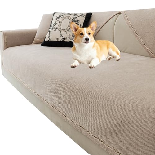 Canapé acceptant les animaux grâce à la housse blanche 90x240