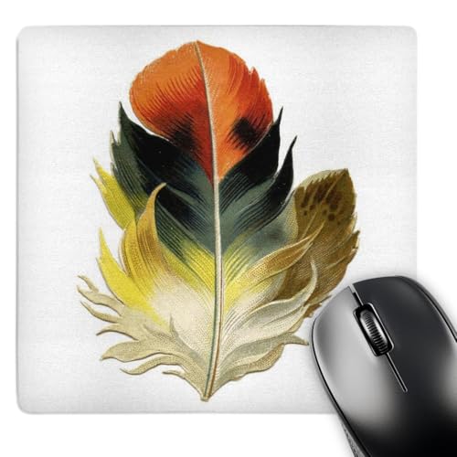 3dRose LLC 8 x 8 x 0.25 Inches Mouse Pad, Victorian Feather in Orange Yellow and Teal (mp_38986_1)