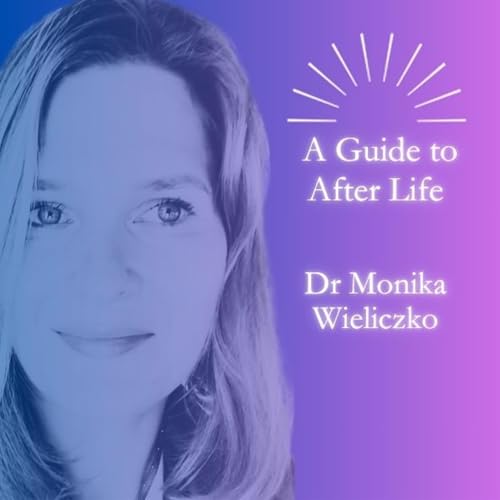 Couverture de A Guide to After Life