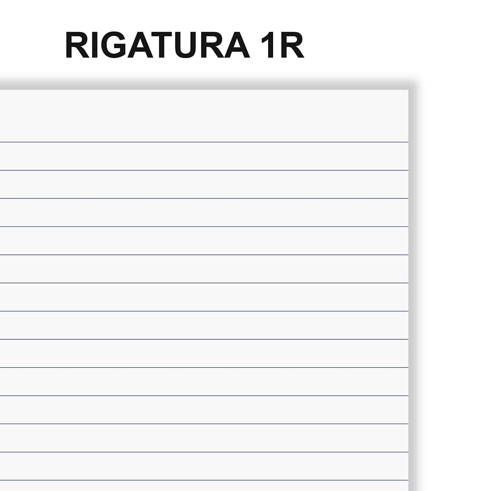Favorit Quaderni Spiralati A4 A Righe 5 Pezzi Carta 80g/Mq