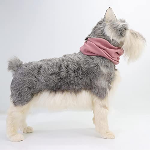 CRHAYSM Chapéu para cães gatos cães capas de ouvido silenciosas para proteção de ruído abafadores ca