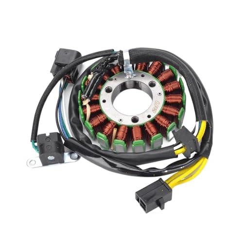 Bobina de estator para solucionar problemas de arranque en frío en DRZ400E 2
