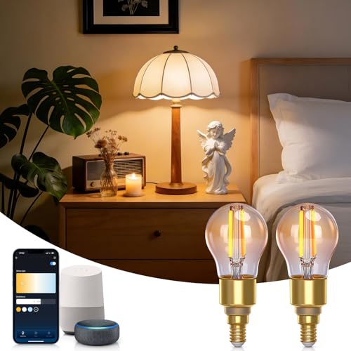 Aigostar Lampadine Alexa, Lampadine Led E14 Vintage, G45 Ambra, 4.5W, 470LM, Bianco Caldo Dimmerabile 2700K - 6500K, 2 Unità