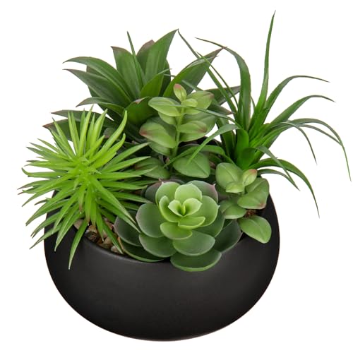 Hollyone Fake Plants Artificial Succulents in Pots Faux Succulent Arrangement Potted Plant in Black Ceramic Planter Bowl for Home Decor Office Desk Bathroom Shelf Living Room Indoor Decorations