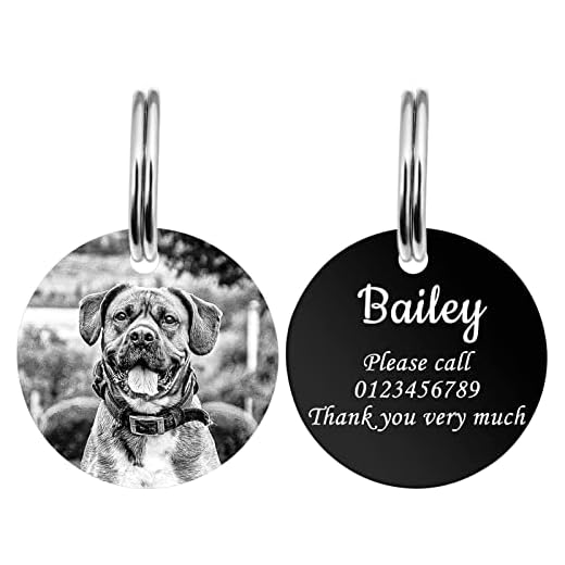 YEHANTI Médailles pour chien et chat en acier inoxydable avec photo gravée double face, L