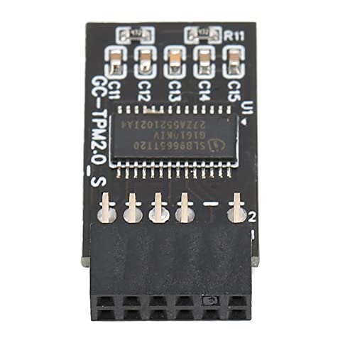 TPM 2.0 Krypteringsmodul för 12Pin LPC Interface och Speltangentbord