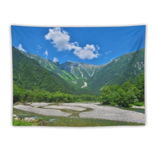 쌧 䍂Ả ^yXg[ wiz z ̂ǂȓci {̕iʐ^ |X^[ 唻 Ǌ| Ǐ pi CeA @\  ⑋̏ ͗lւ rO[ xbh[ 150×200cm