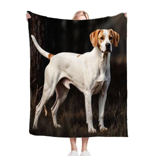 Couverture Polaire 240 x 260 Animaux Chiens, Couverture Polaire Grande Taille 240x260 cm | Usage Multiple comme Couette d'Appoint, Assure Une Protection Contre Le Froid B283