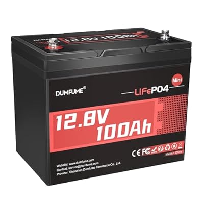 12V 100Ah Mini LiFePO4 Lithium Battery, Built-in 100A BMS, 1280Wh, Up To 6000+ Cycles, Ideal For RV, Marine, Trolling Motor And Solar Off-Grid Systems