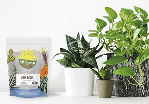 Horticultural Charcoal For Indoor Plants (2 Quarts), Hardwood Soil Amendment For Orchids, Terrariums, And Gardening #TOP1