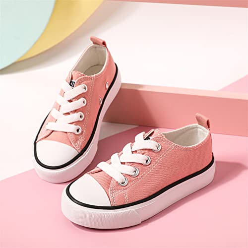 PATPAT Toddler Shoes for Girl & Boy, Toddler Sneakers Little Kid Shoes [Breathable & Comfortable] [Lightweight & Durable] Casual, Stylish and Comfortable Slip-On Canvas Sneaker Toddler Shoes Size2