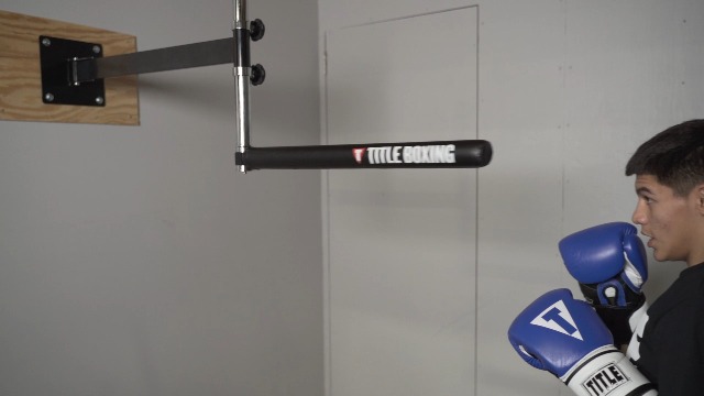 Amazon.com : TITLE Boxing Rapid-Reflex Boxing Bar - Freestanding