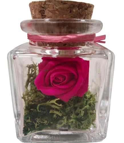 Genérico Rosa eterna Rosa Fucsia. Tarro Cristal Mini. Flores preservadas. Musgo preservado. Rosas eternas.