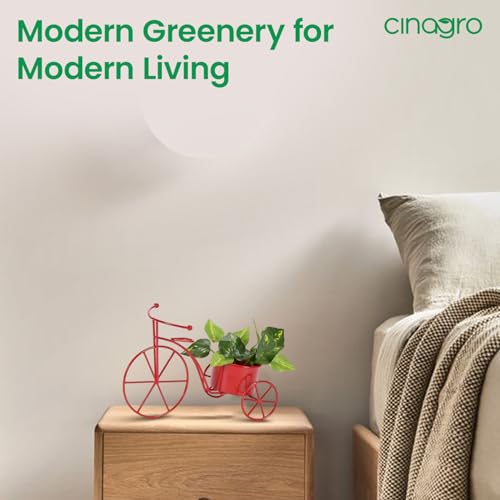 Image of CINAGRO Cycle Shaped Metal Plant Stand for Indoor & Outdoor Use, Decorative Planter Pot for Flowers & Ornaments, Stylish Metal Cycle Design, Living Room & Home Garden Decor, Style: Pedal Paradise