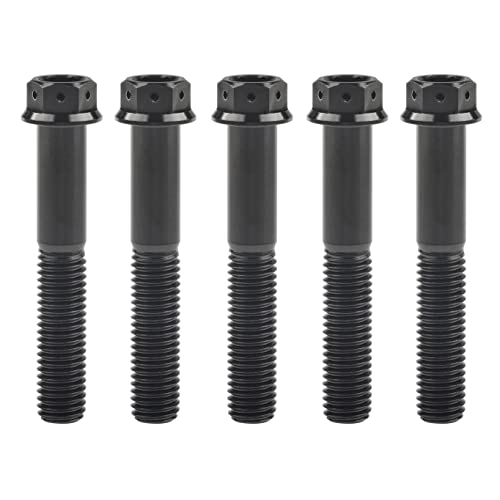 Ruifuチタン合金フランジヘッド六角穴付ボルトM10 20 25 30 35 40 45 50 55 60 65 70 75 80 85 90mm 二輪車用改造ネジ5個 (M10x55mm Pitch 1.5, 黒)