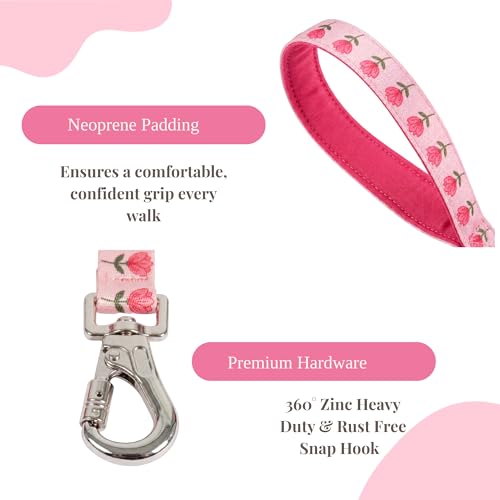Image of Wag and Wilder Dog Collar and Leash Set Medium for Beagle, Pit Bull Terrier & Boxer - Heavy Duty Adjustable Collar & 5 FT Leash Combo, Jaipur Bloom Pink