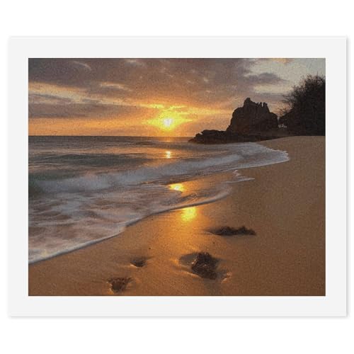 Pintura por números adultos principiantes amanecer playa óleo digital kit