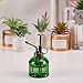 Ebristar Glass Plant Mister Spray Bottle, 6.5