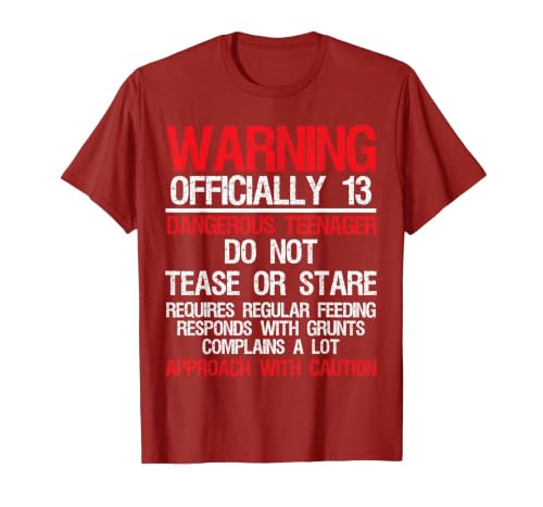 13 Years Old Warning Dangerous Teenager 13th Birthday T-Shirt, Men, Cranberry Red, 3X-Large