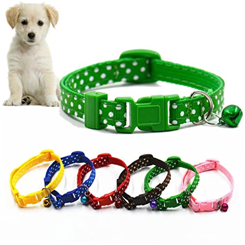 EXAOMBLE 1cmʕybgpxJ[ yʃvX`bNobN ϋvǂ^Lp O[J[ U₨o