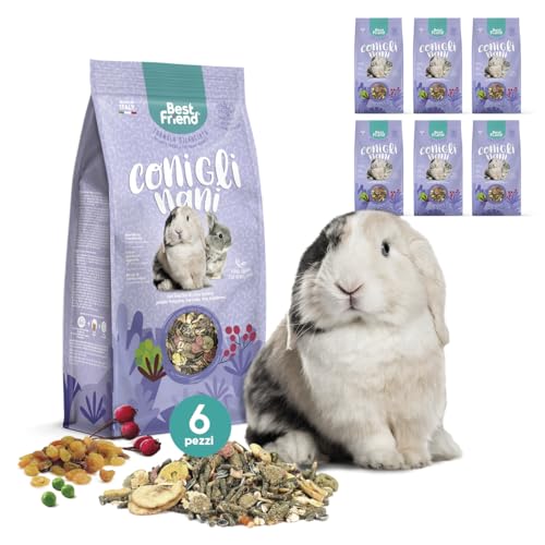 Best Friend Pienso Completo para Conejos Enanos con Bayas de Rosa mosqueta, Guisante en Copos de Guisante, algarroba, UVA sultanina. Alimento para roedores con Ingredientes Naturales, Fabricado en