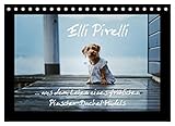Elli Pirelli. aus dem Leben eines fröhlichen Pinscher-Dackel-Mädels (Tischkalender 2023 DIN A5 quer), Calvendo Monatskalender - Kathrin Köntopp 