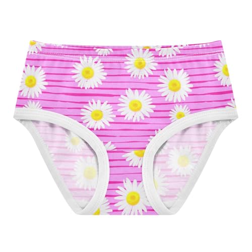 Joisal White Daisies Pink Horizontal Panties Little Girl Girls Underwear Toddler Cotton Funny Kids Briefs Undies 2t