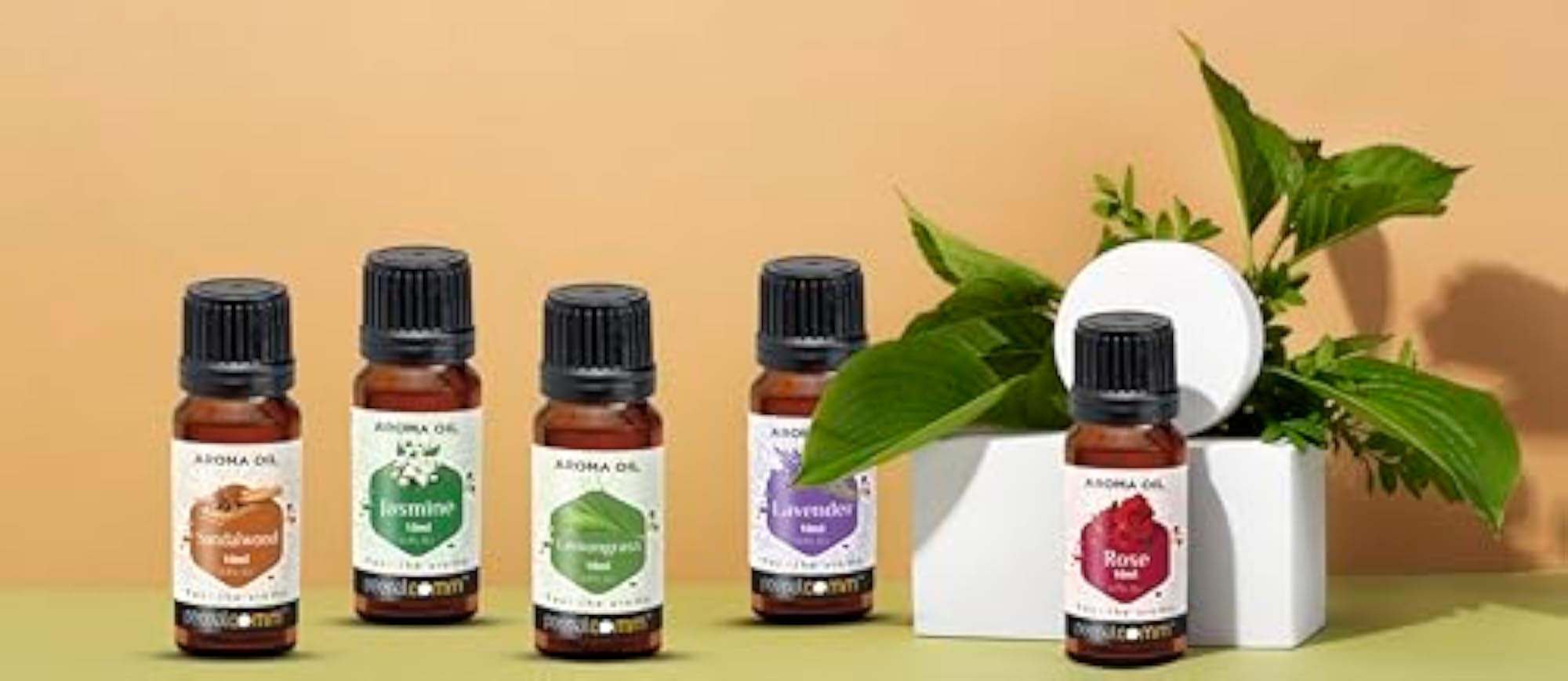 Peepalcomm Lavender and Jasmine Aroma Essential Oils Set, Natural