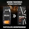 Pellini N.82 Vivace, Caffè in Grani per Espresso 1 kg, Miscela Classica Arabica e Robusta dal Gusto Deciso e Bilanciato, Caffè in Chicchi a Tostatura Media #2