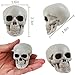 Junware 20 Pcs Halloween Skulls Realistic Looking Skulls Skeleton Head for Halloween Bar Home Table Decoration Model Human Skeleton Statue (1.6 x 1.8 x 2.3 Inches)