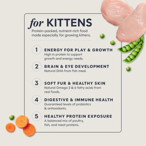 Image of Instinct Original Kitten Dry Food, Raw Coated, Real Chicken, 4.5 lb. Bag