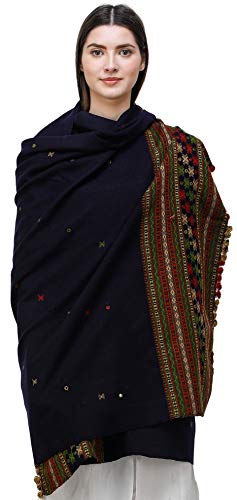 Shawl from Kutch with Embroidered Border and Mirrors (Navy Blue)4