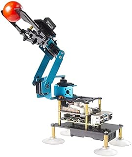 Adeept RaspArm-S 4-DOF Robot Arm 4 Axis Robotic Arm Kit for Raspberry Pi 4 3B 3B+ | Programmable Robot DIY Coding Robot Kit | STEAM Robot Arm Kit with OLED Display | Processing Code and PDF