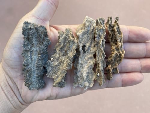 Image of Starborn Fulgurite Specimen (X-Large) 6-7 cm