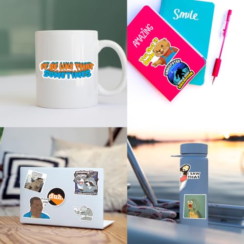 306pcs Funny Meme Vinyl Stickers Pack, Large Bulk Sticker for Laptop, Phone, Water Bottles, Computer Cars... Vine Sticker Decal DIY Décor for Bumper Accesory - Image 3