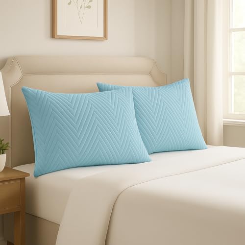 Image of RD TREND Cotton Quilted Pillow Cover Set of 2 |Ultra-Soft, Cooling & Breathable | Skin & Hair Friendly | Hidden Zipper Pillowcases for Bedroom |Standard Size 18x28 Inches, Sky Blue