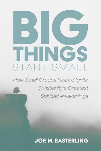 Big Things Start Small view 2