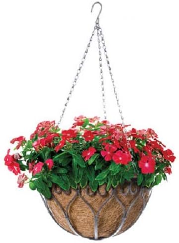 14 Savanna Hang Basket