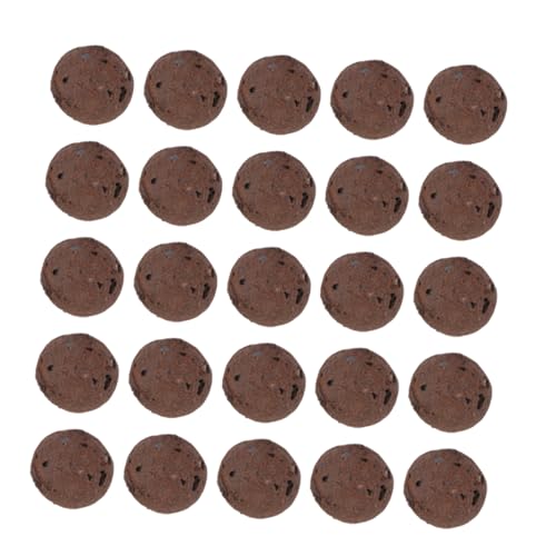 BESPORTBLE 1 Tierra Ceramsite Terrario Grava Guijarros Tierra Para Suculentas Rocas Para Tanques Plantas Piedra Difusora Peces Cactus Piedra Pómez Kit Guisante Relleno Para Jarrones Acuario