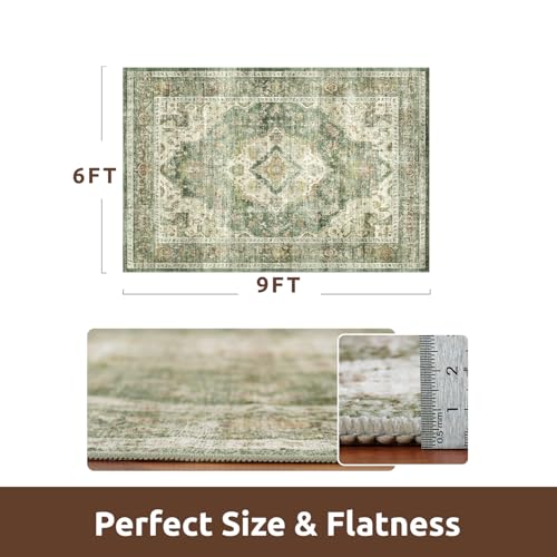 AMOAMI-Area Rug 6X9 Rugs for Living Room-Vintage Soft Green Rugs for Bedroom-Non Slip Carpet-Machine Washable Rug for Dining Room Living Room Bedroom Office Under Table