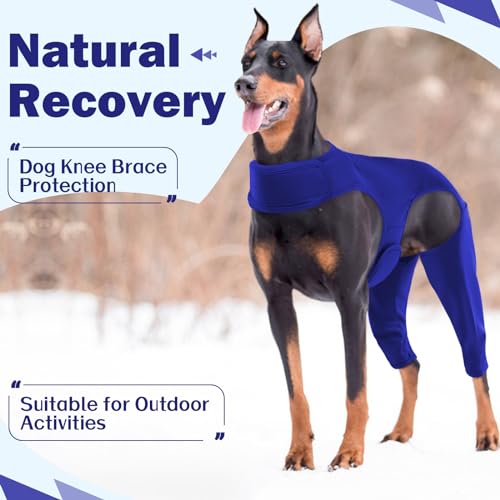 Image of ROZKITCH Dog Rear Leg Surgery for Right Left Leg, Pet Prevent Licking Wound Elbow Protector, Dog Rear Leg Sleeve for Sprain ACL CCL Arthritis Joint Care Blue XS
