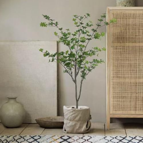 hE_ccW tFCNO[ A ^Ηt lHt lHϗtA CeAO[ { ϗtA ϗt lHA ͂Ȃ sv A 