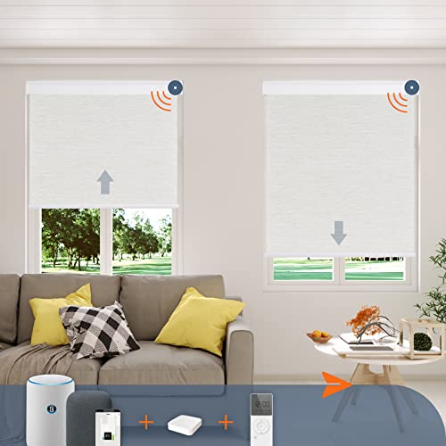 8 Best Motorized Blinds And Shades (April2023)